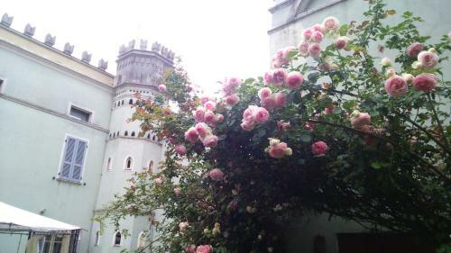 B&B Villa Albertina