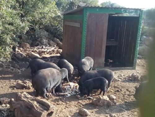 Agroturismo Agriturismo Agrimilo