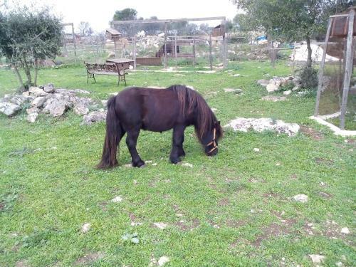 Agroturismo Agriturismo Agrimilo