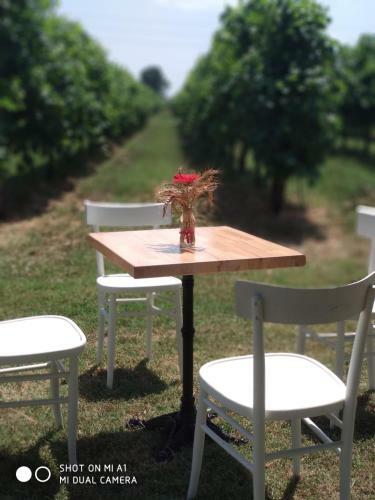 Agroturismo Agriturismo Vitae