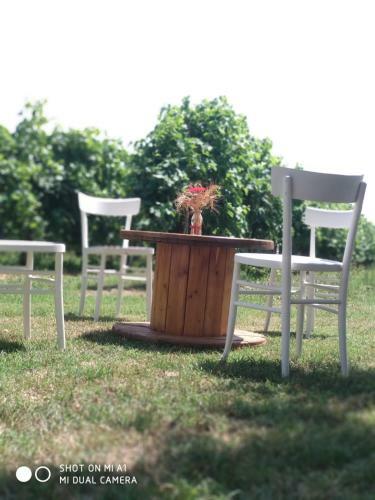 Agroturismo Agriturismo Vitae