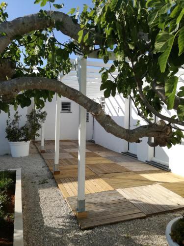 Hostal Tenuta Il Fico