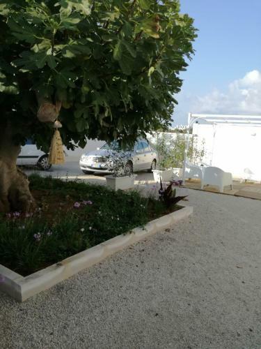 Hostal Tenuta Il Fico