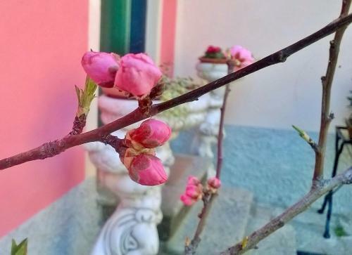 Bed & Breakfast Crocevia Del Sale