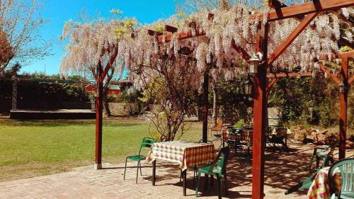 Camping Internazionale Di Castelfusano