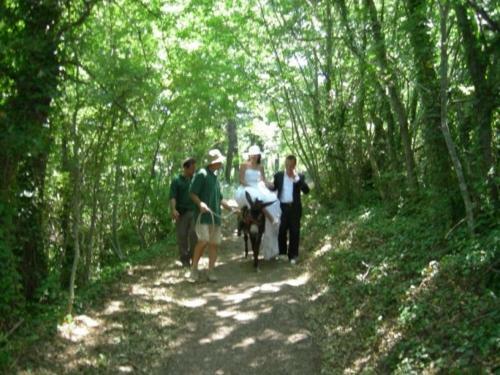 Agroturismo Borgo Cerquelle