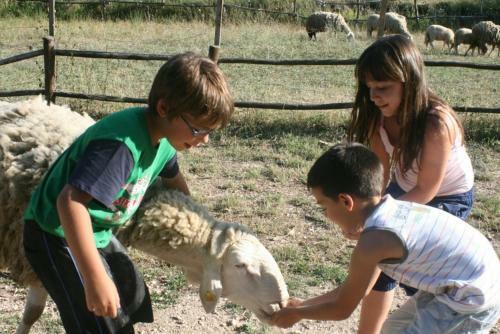 Agroturismo Borgo Cerquelle