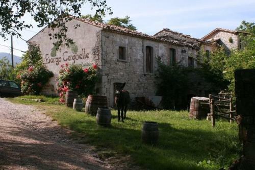 Agroturismo Borgo Cerquelle