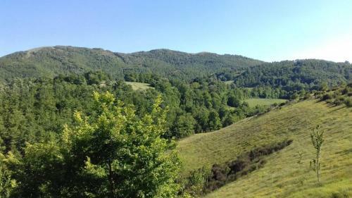 Agroturismo Borgo La Torre