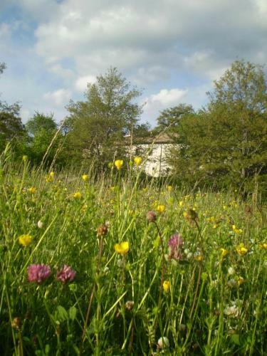 Agroturismo Borgo La Torre