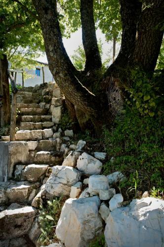 Agroturismo Borgo La Torre