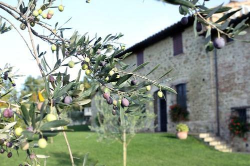 Agroturismo La Casa Dei Cavalli