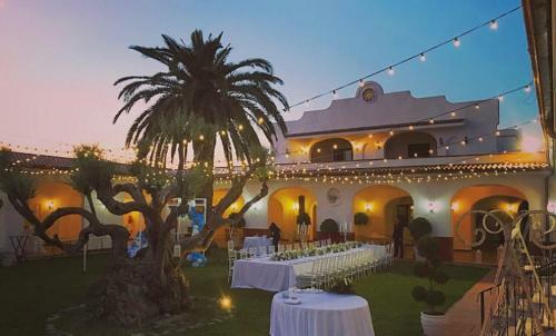Agroturismo Tenuta Palladio