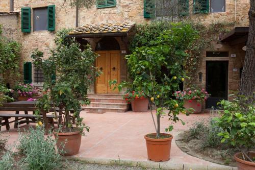 Il Cielo In Terra: Il Podere