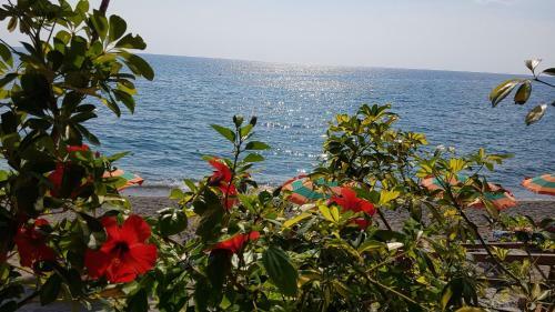 Apartamento Lucia: Bilocale Con Splendido Terrazzo Vista Mare