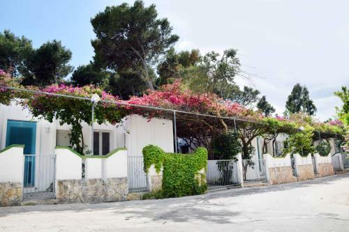 Camping Villaggio Pineta Al Mare