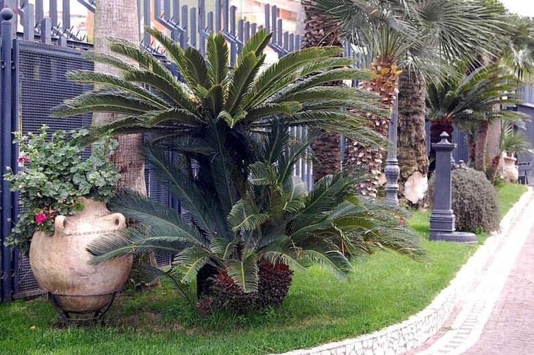 Hotel Ristorante Donato