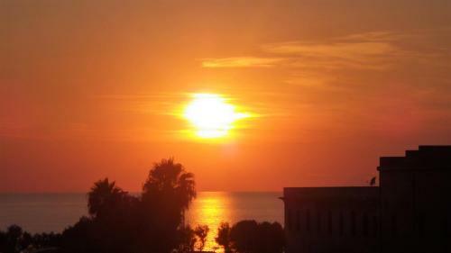 B&B Mus�a
