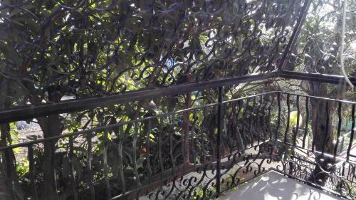 Lucrezia Apartment