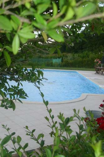 Apartamento Agritursmo Il Palombaccio