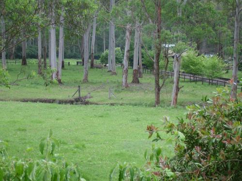Bed & Breakfast Dingley Dell