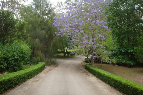Bed & Breakfast Dingley Dell