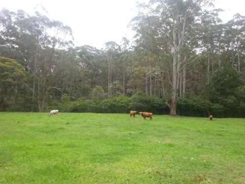 Bed & Breakfast Dingley Dell