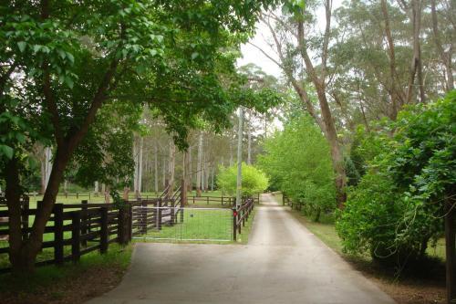 Bed & Breakfast Dingley Dell