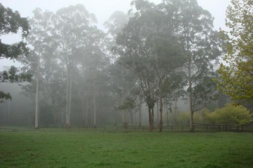 Bed & Breakfast Dingley Dell