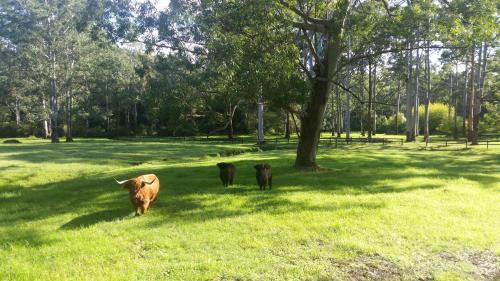 Bed & Breakfast Dingley Dell