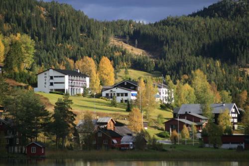 Morgedal Hotel