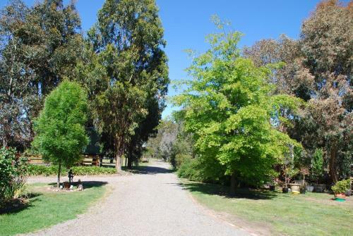 Bluegum Ridge Cottages