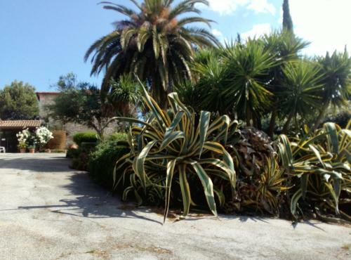 Agroturismo Case Cordovani