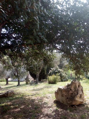 Agroturismo Case Cordovani