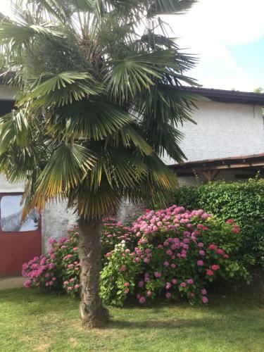 Bed & Breakfast Notti Al Torre