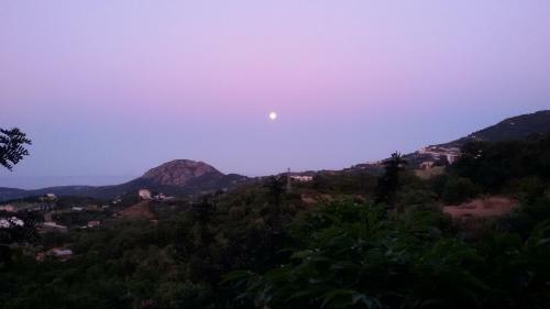 Bed & Breakfast Le Roverelle