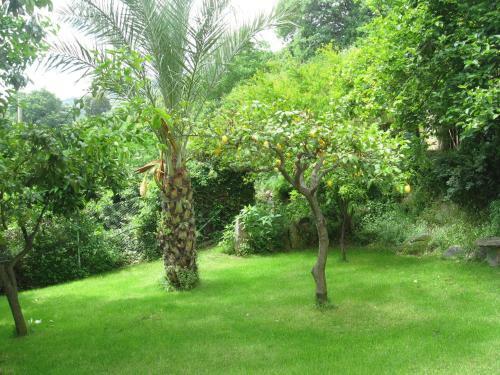 Bed & Breakfast Le Roverelle