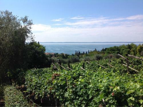 Garda Lake Villa With Private Pool