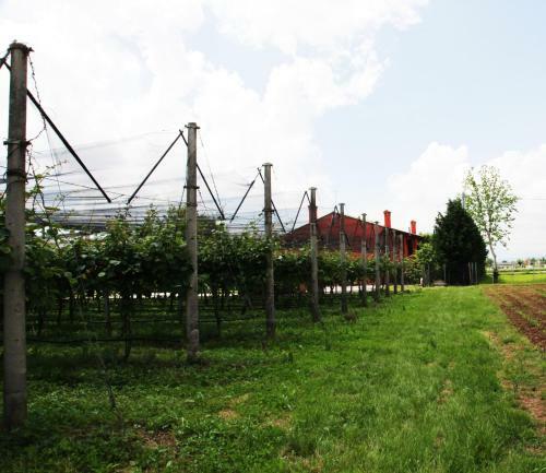 Agroturismo Borgo D'asolo