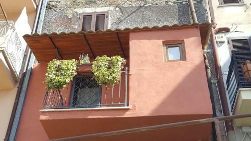 La Tana Cerdomare