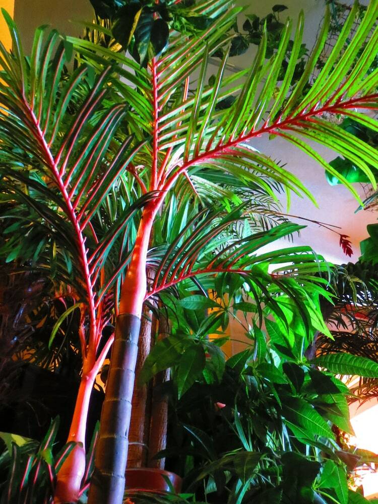 Hostal Stella Resort