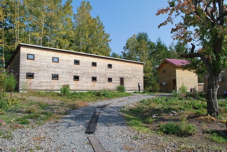 Lodge Auberge Ninguruforet