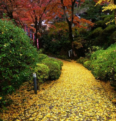 Ryokan Koyokan
