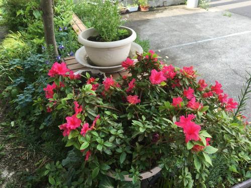 Hostal Guest House Chara