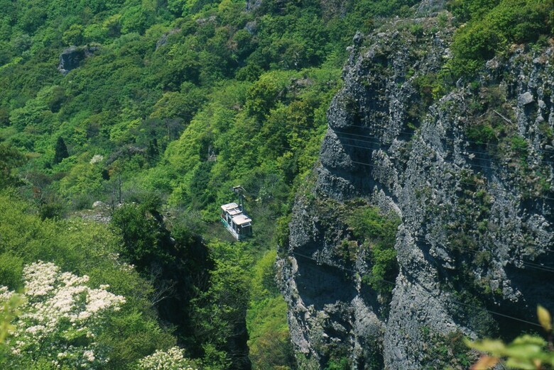 Shodoshima International Hotel