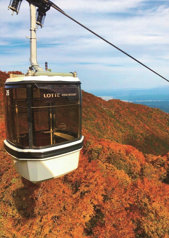 Hotel Lotte Arai Resort