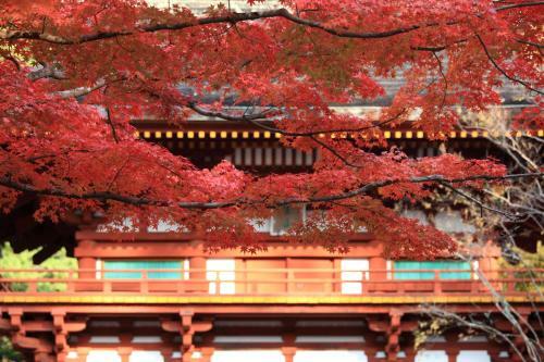 Hostal Guesthouse 168(Iroha)