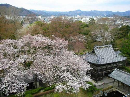 Hotel Wakasa