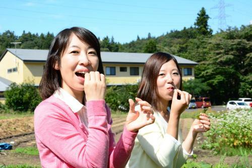 Hostal Shizukatei