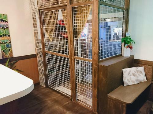 Hostal Bali & Cat Guest House